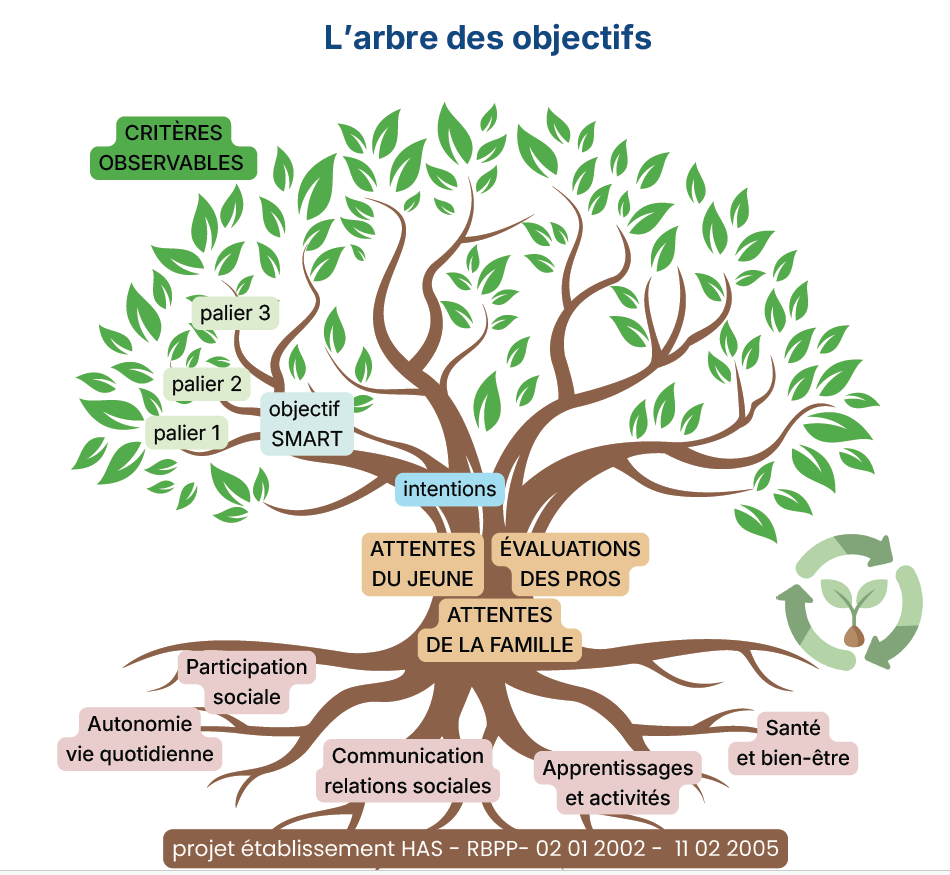 L'arbre des objectifs — projet personnalisé