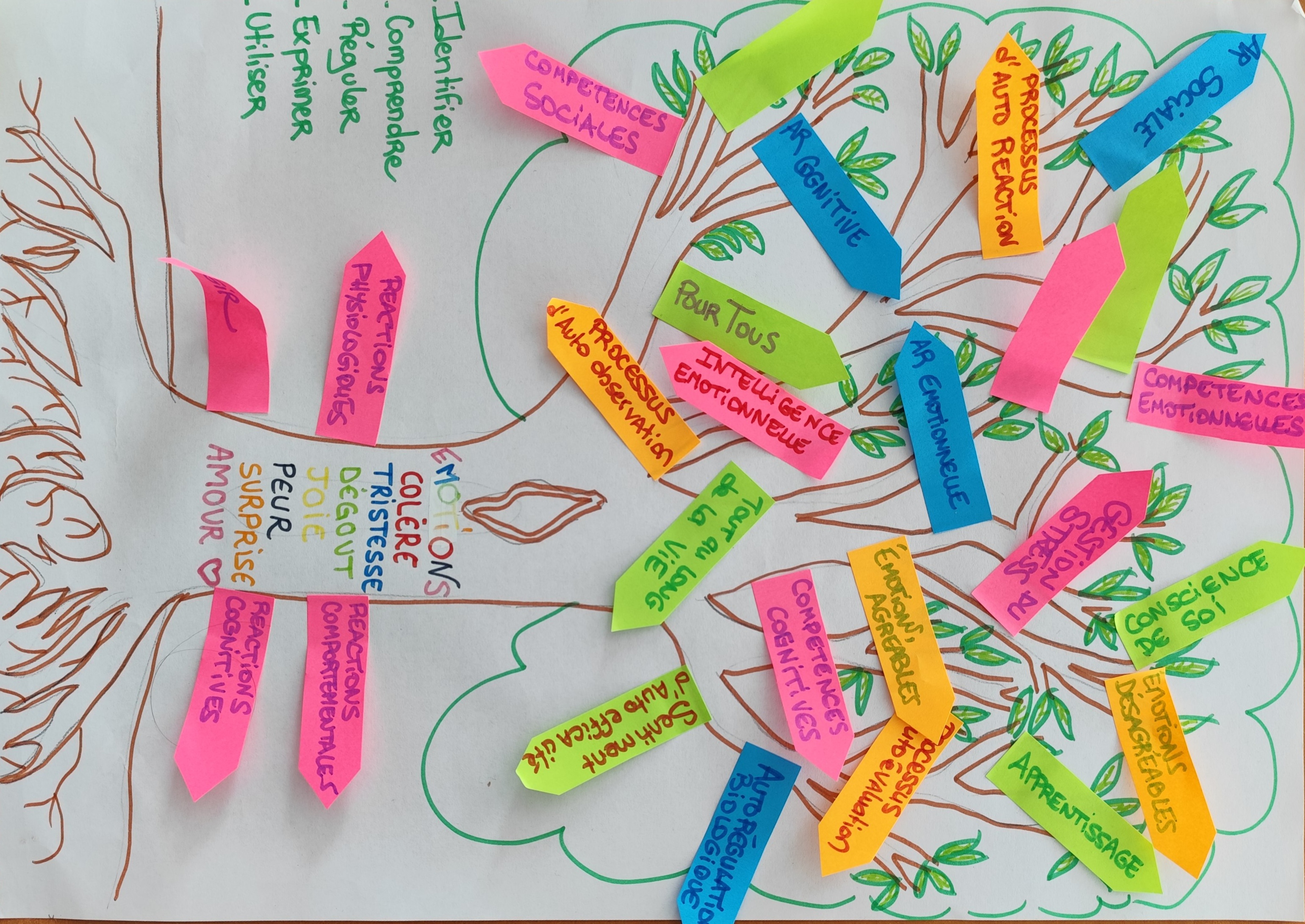 L'arbre des émotions en post-its