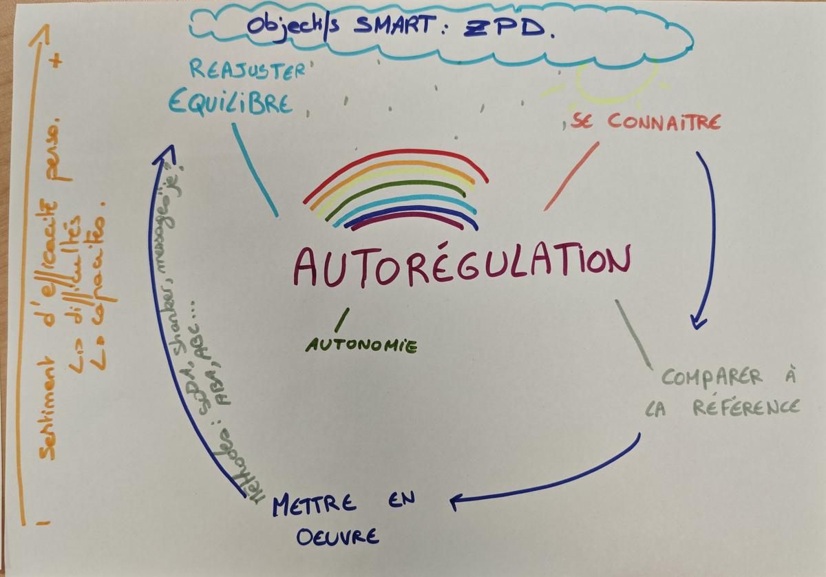 Carte mentale de l'autorégulation réalisée en formation