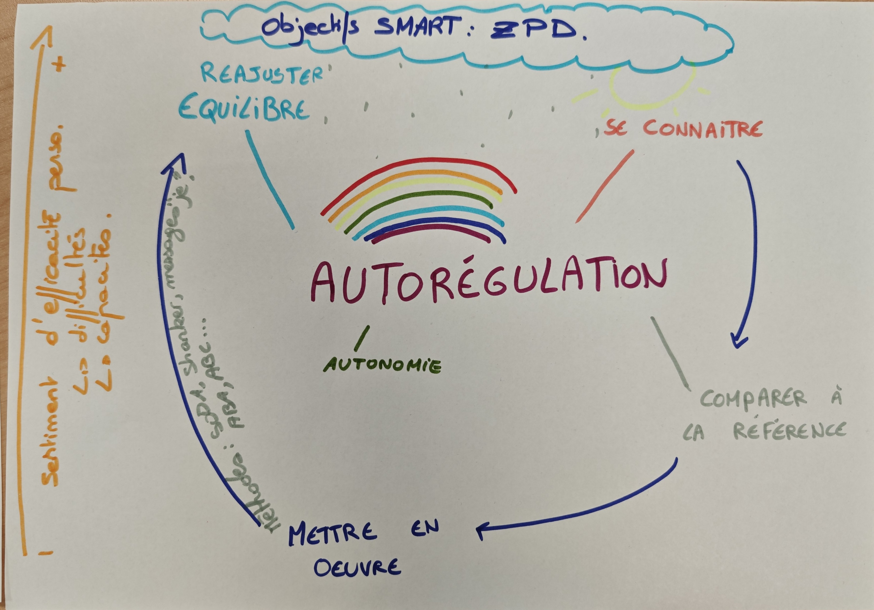 Schéma du cycle de l'autorégulation
